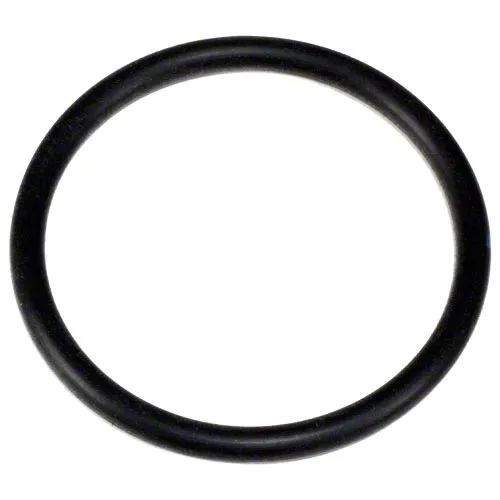 Hayward Diffiuser O-Ring SPX4000Z1