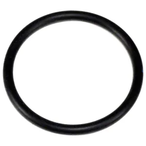 Hayward Diffiuser O-Ring SPX4000Z1