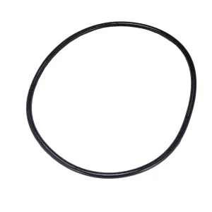 Hayward Strainer Cover O-Ring SPX4000S