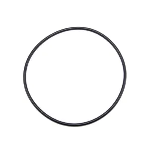 Speck Pump Casing O-Ring 2921141222