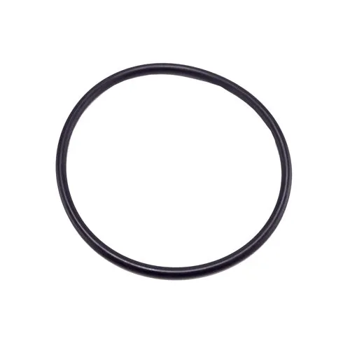 Speck Pump Diffuser O-Ring 2920141210